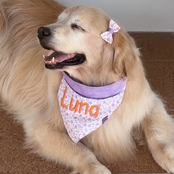 Bandana Flor de Outono