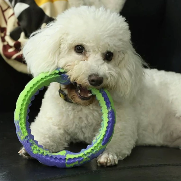 Anel Neon Roxo Qmonster