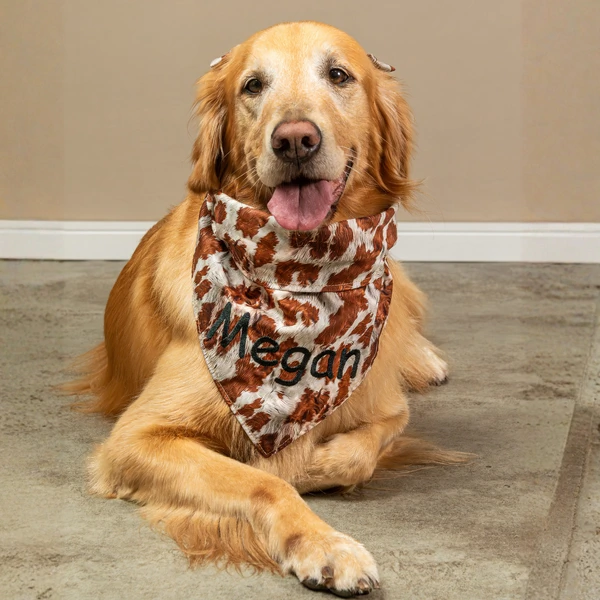 Bandana Montana