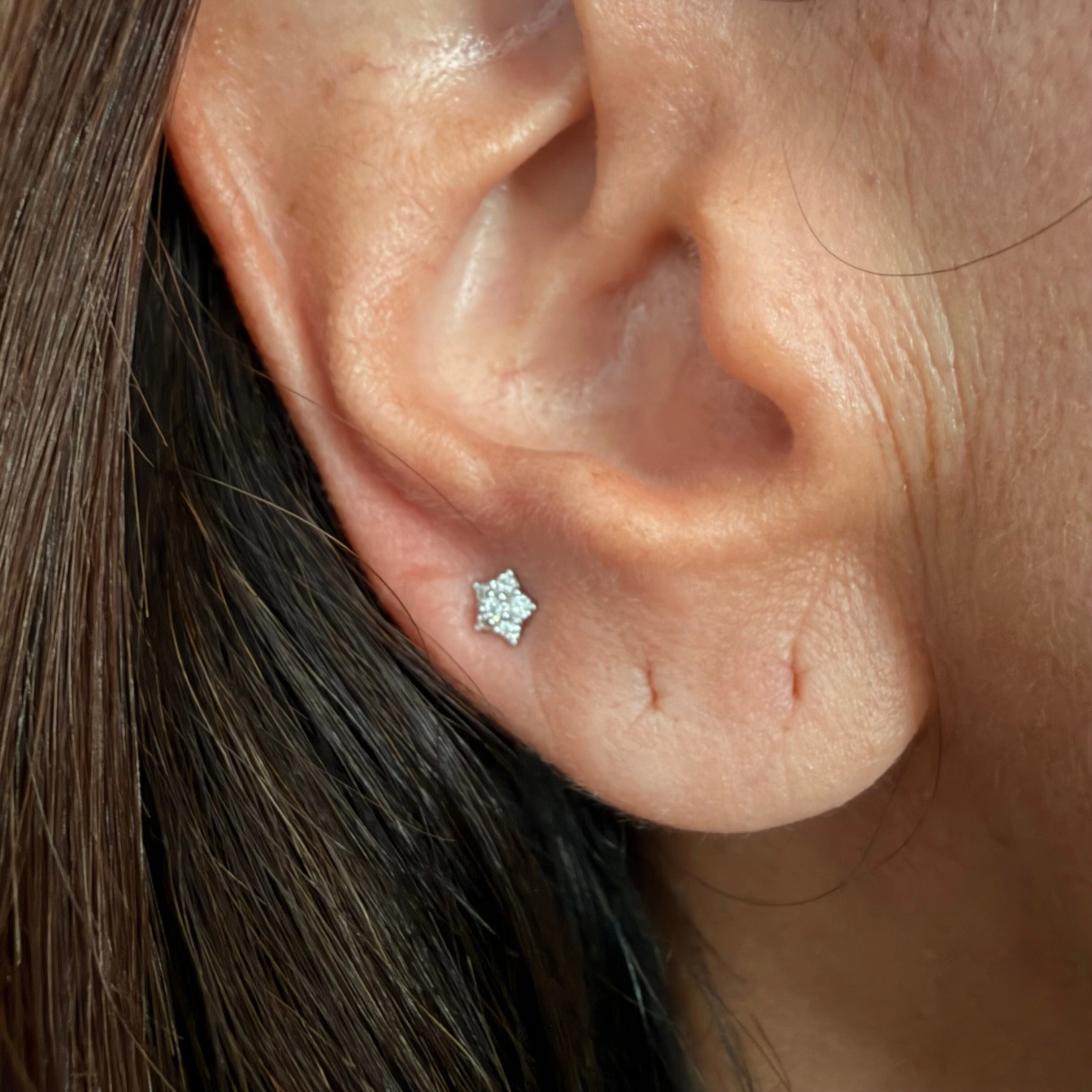 FotoBrinco Moissanite Flor 2o Furo 0,162CT em Prata 925