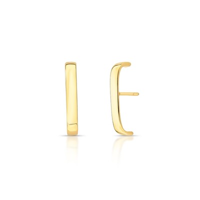Foto Brinco Earhook Liso em Dourado