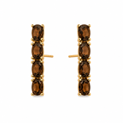 Foto Brinco Earhook Brown em Dourado