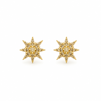 Foto Brinco Star Cravejado com Zirconias