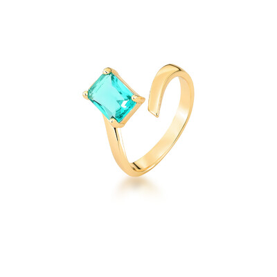 Foto Anel Regulável com Paraíba Fusion Retangular em Dourado