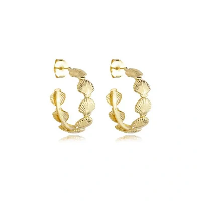 Foto Brinco Argola Concha em Dourado
