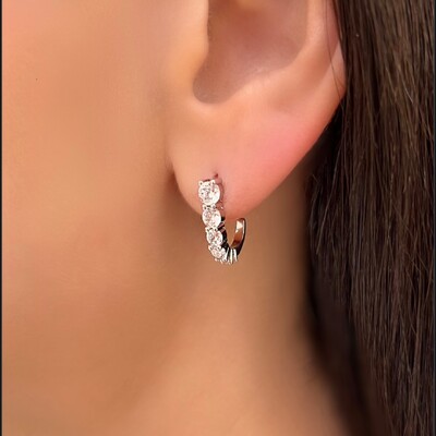 Foto Brinco Earhook Gancho Degradee Zircônias em Ródio
