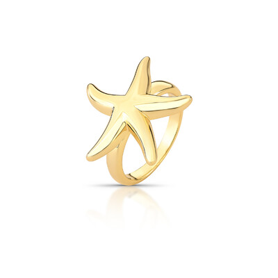 Foto Anel Estrela em Dourado