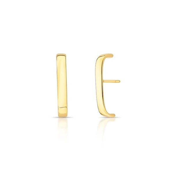 Brinco Earhook Liso em Dourado