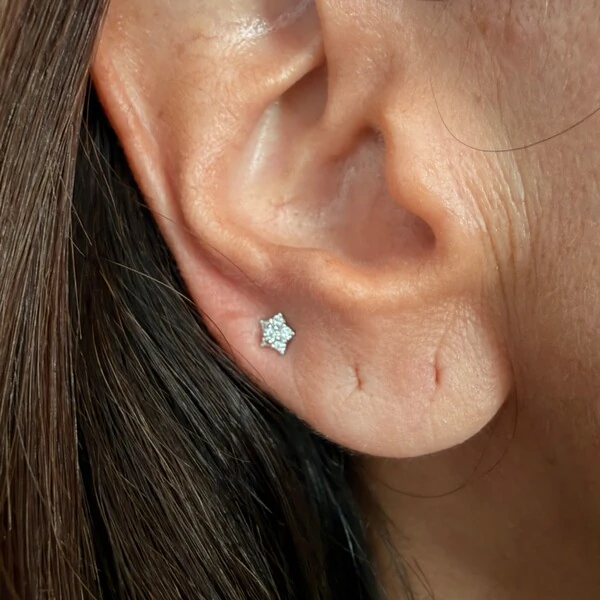 Brinco Moissanite Flor 2o Furo 0,162CT em Prata 925