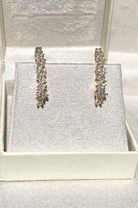 Brinco Earhook Duplo Dourado