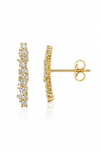 Brinco Earhook Duplo Dourado