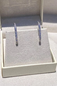 Brinco Earhook Ródio Branco