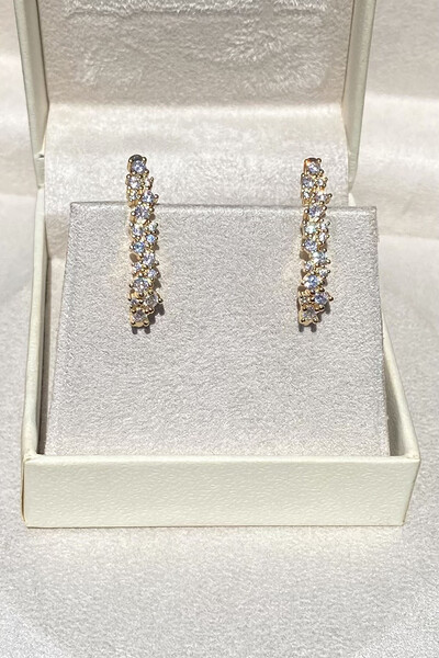 Foto Brinco Earhook Duplo Dourado