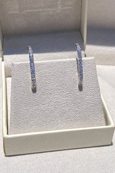 Foto Brinco Earhook Ródio Branco