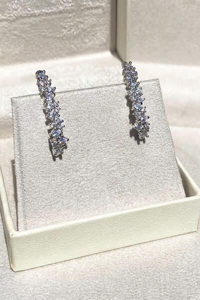 Foto Brinco Earhook Duplo Ródio Branco