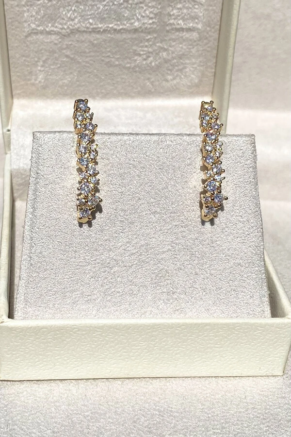 Brinco Earhook Duplo Dourado