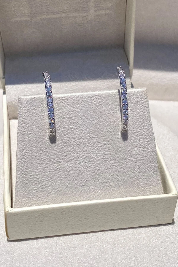 Brinco Earhook Ródio Branco