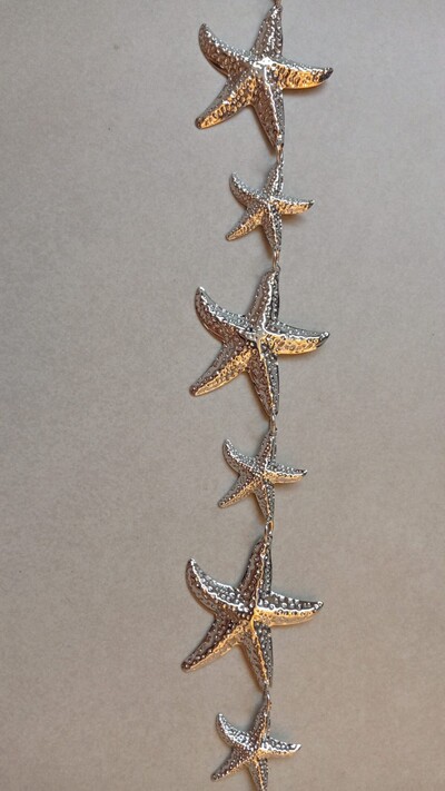 Foto ATIVARCinto estrela do mar