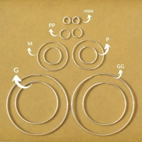 Argola Média fio redondo Prata