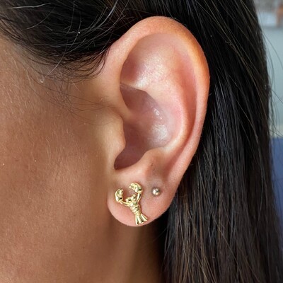 Foto Brinco Mini Lagosta