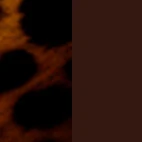 Animal Print e Marrom