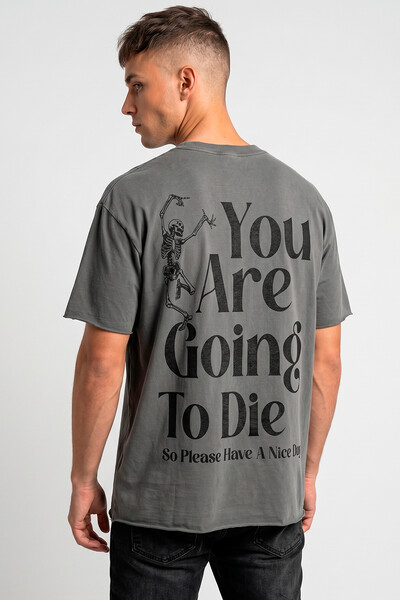 Foto Camiseta estonada chumbo Nice Day