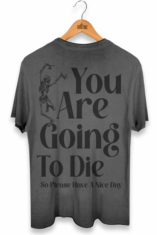 Camiseta estonada cinza Nice Day