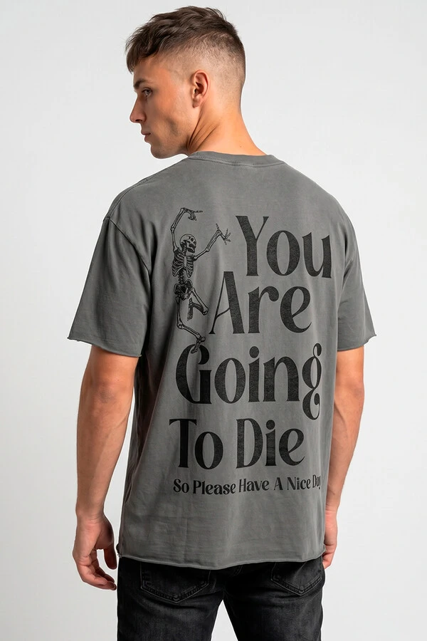Camiseta estonada chumbo Nice Day