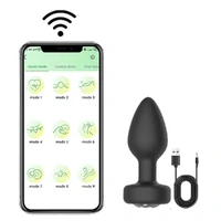 Plug Anal de Silicone com Vibro por Aplicativo