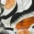 Aquarela