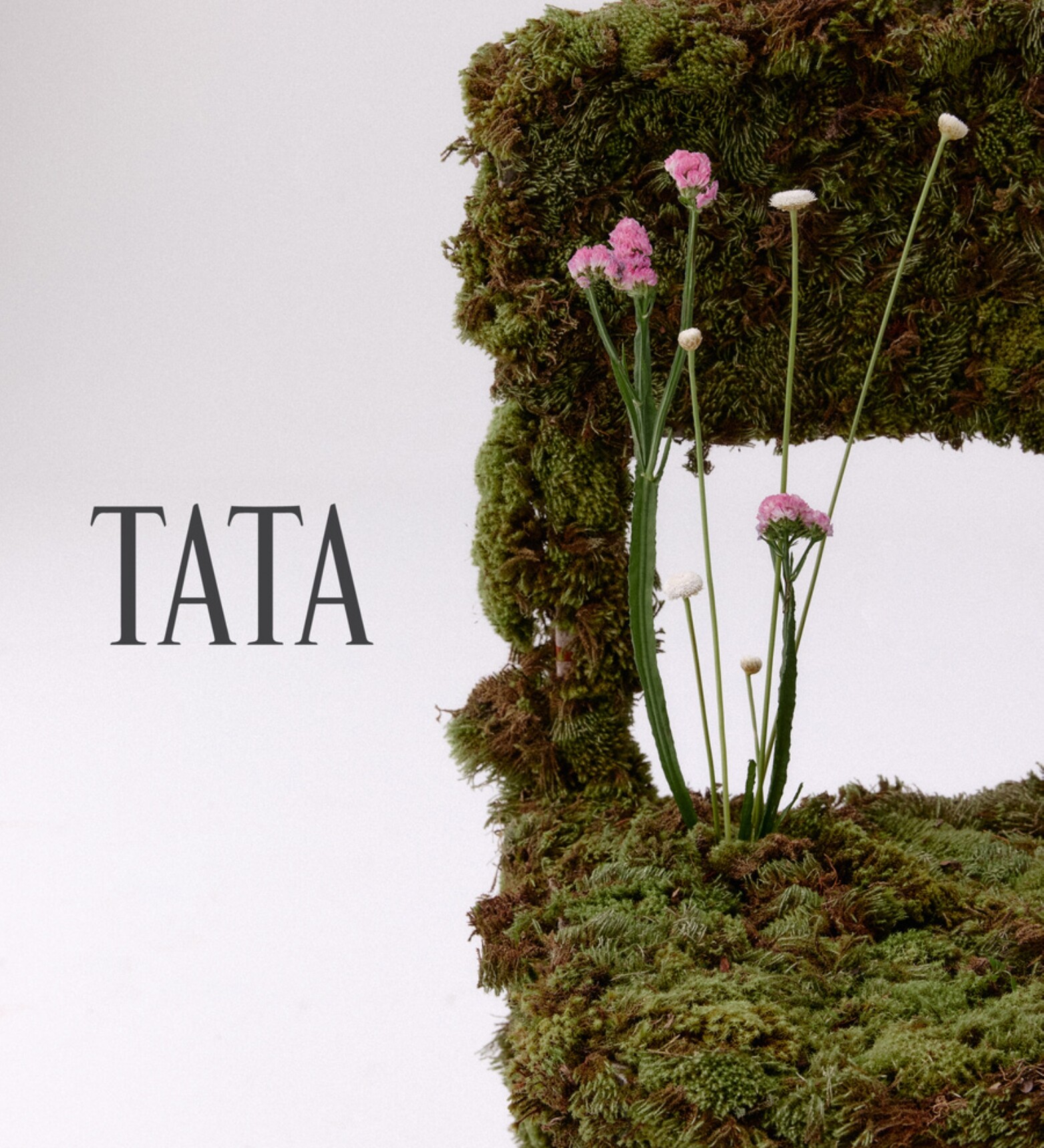 Tata Knitwear