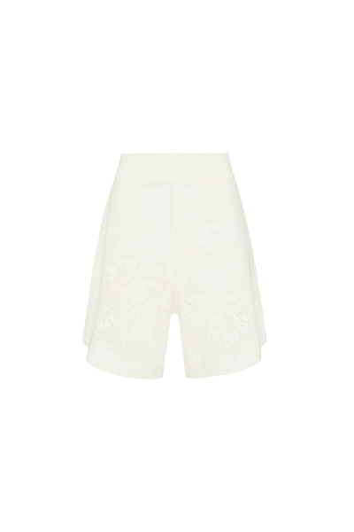 Foto Shorts Lirio