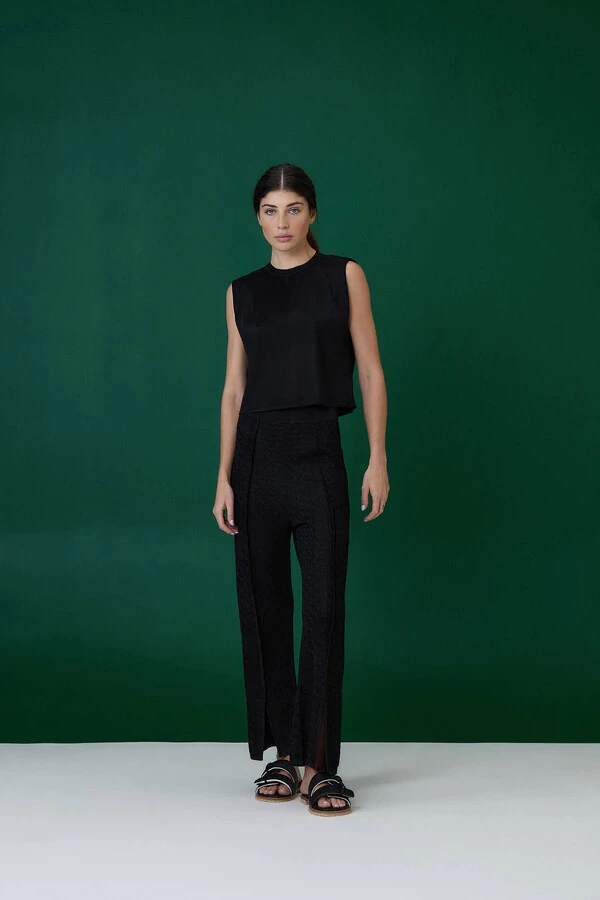 Cropped Iris