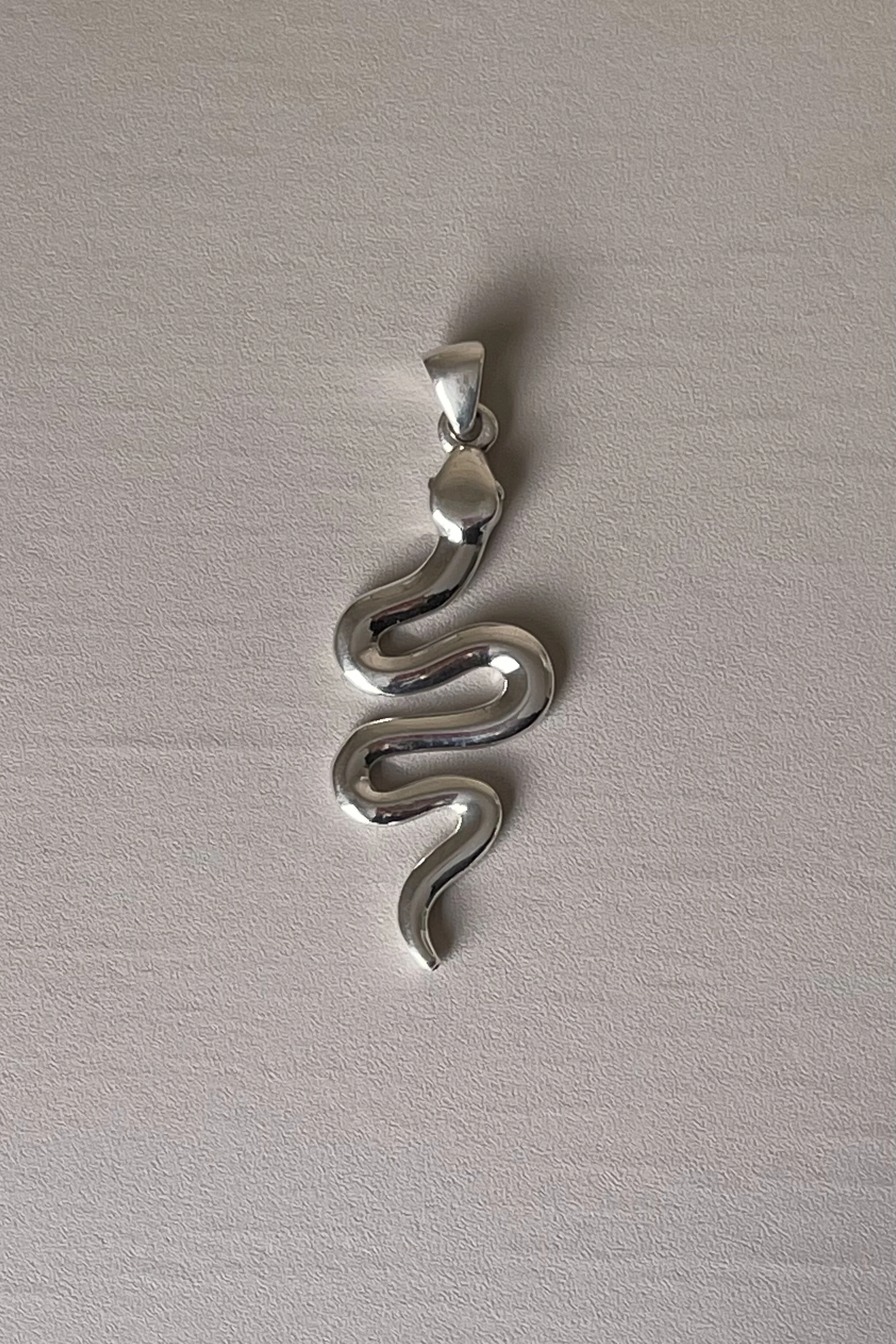 Foto Pingente Serpente 7 cm em Prata 925