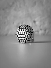 Anel Redondo Escamas Ajustável | Banho de Prata 925