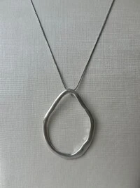 Colar Pingente Argola Orgânica Banho de Prata