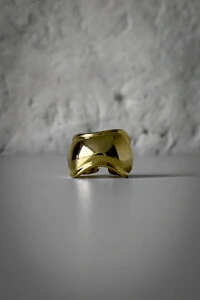 Anel Curvas Orgânicas | Banho de Ouro 18k | Moderno