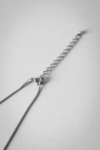 Colar Pingente Peixe | Banho de Prata 925 | Despojado