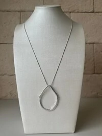 Colar Pingente Argola Orgânica Banho de Prata