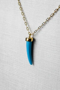 Colar Dente Turquesa | Banho Ouro 18k | Vibrante