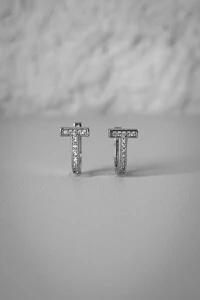 Brinco Argola Ferradura com Zircônias | Banho de Ródio | Contemporâneo