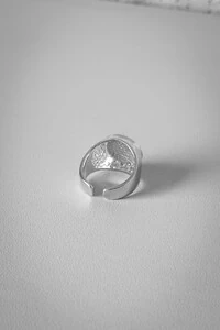 Anel Liso Selo Ajustável | Banho Ródio | Minimalista