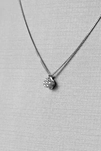 Colar Ponto de Luz Chuveirinho | Prata 925 | Clássico