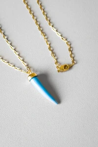 Colar Dente Turquesa | Banho Ouro 18k | Vibrante