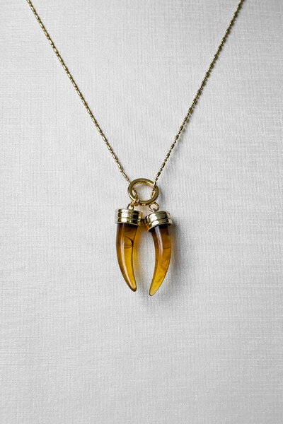 Foto Colar Pingentes Dentes Âmbar | Banho Ouro 18k | Poderoso