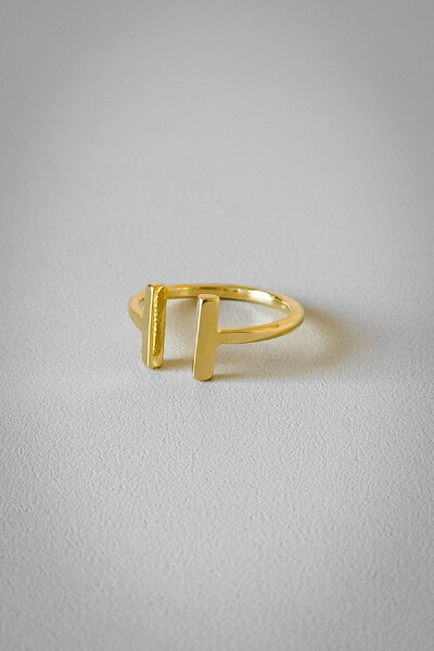 Foto Anel Barra Dupla Ajustável | Banho Ouro 18k | Minimalista
