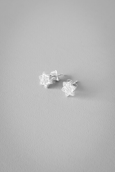 Foto Brinco Estrela Cravejada | Prata 925 | Delicado