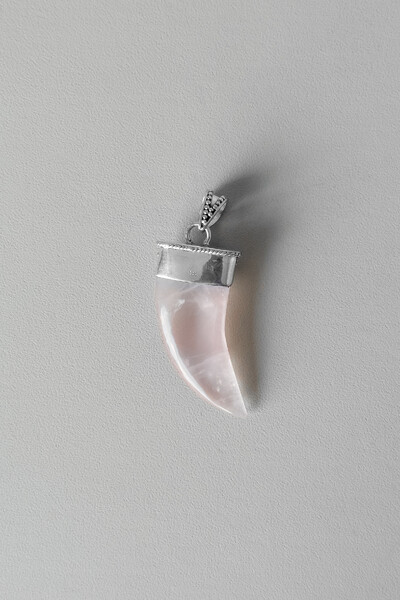 Foto Pingente Garra | Prata 925 | Quartzo Rosa