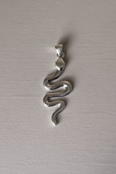 Foto Pingente Serpente 7 cm em Prata 925