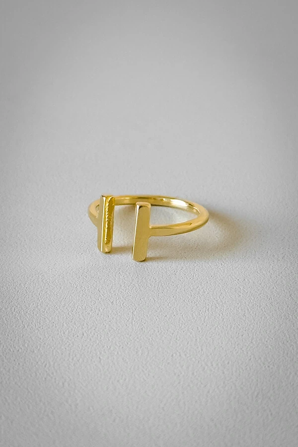 Anel Barra Dupla Ajustável | Banho Ouro 18k | Minimalista